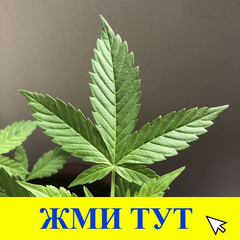 Купить наркотики в Когалыме